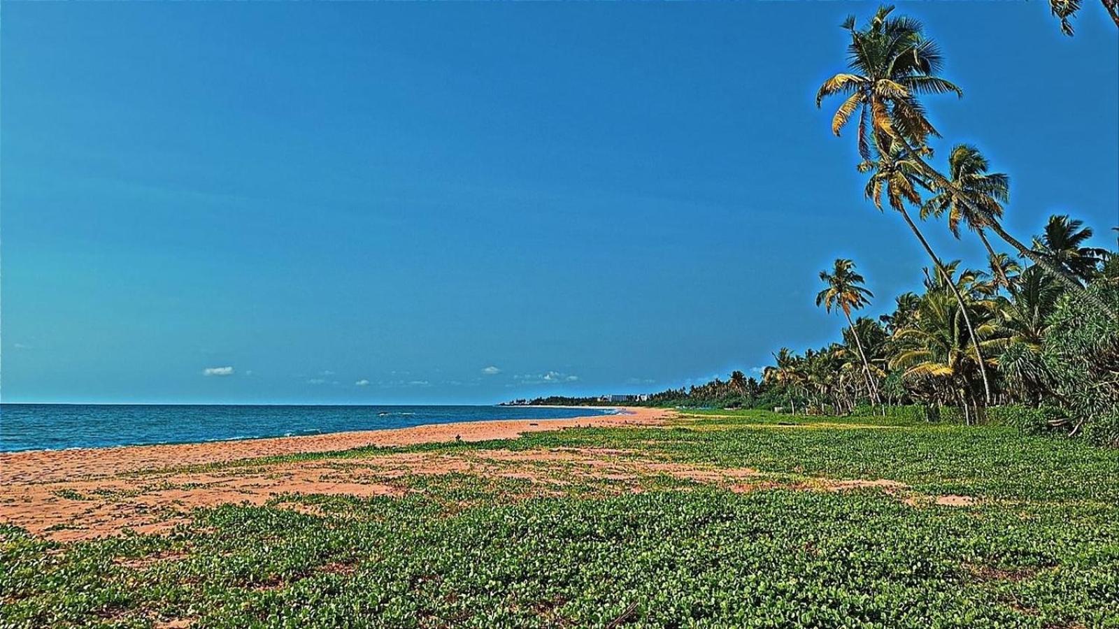 Raja Beach Hotel Balapitiya Ngoại thất bức ảnh