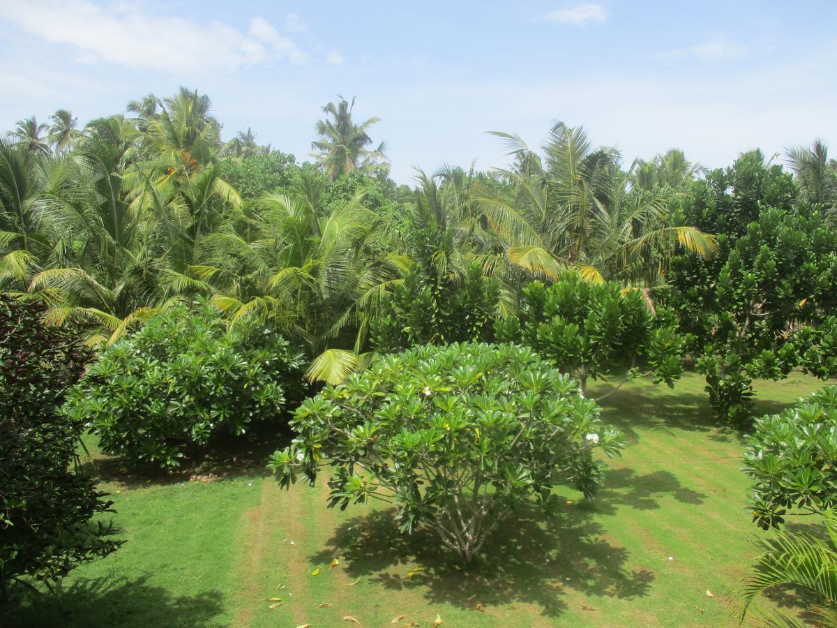 Raja Beach Hotel Balapitiya Ngoại thất bức ảnh