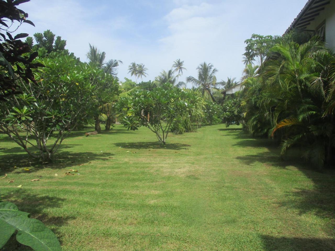 Raja Beach Hotel Balapitiya Ngoại thất bức ảnh
